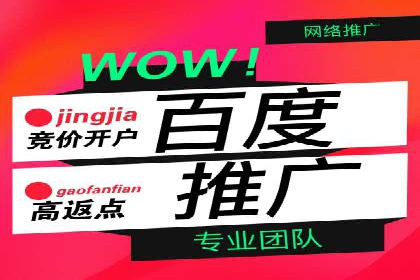 百度SEM代运营案例分享：成功之道揭秘